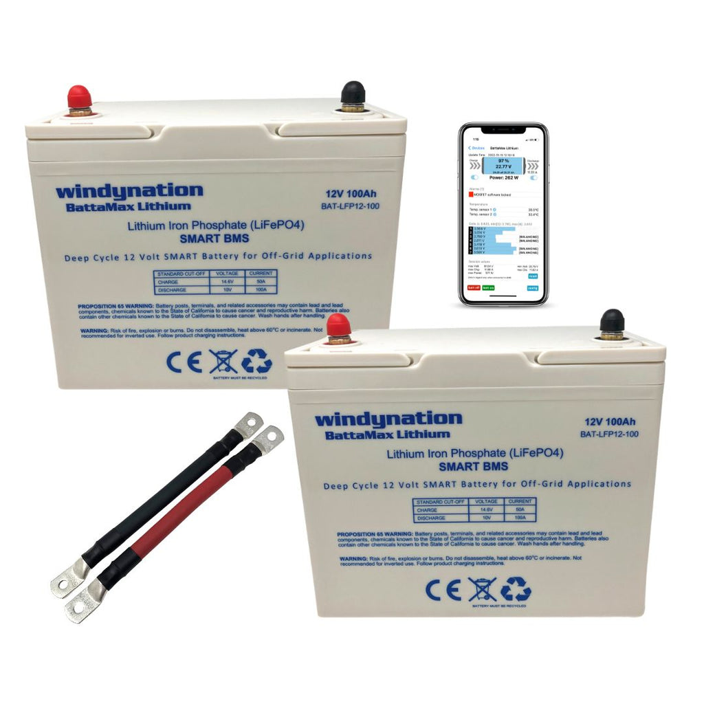 WindyNation LiFePO4 100ah 12 Volt BattaMax 4000 Cycles Battery