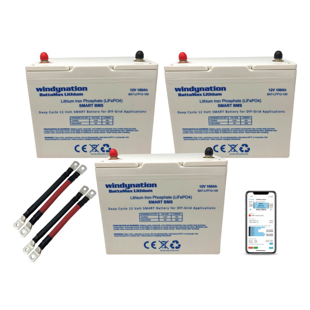 WindyNation LiFePO4 100ah 12 Volt BattaMax 4000 Cycles Battery