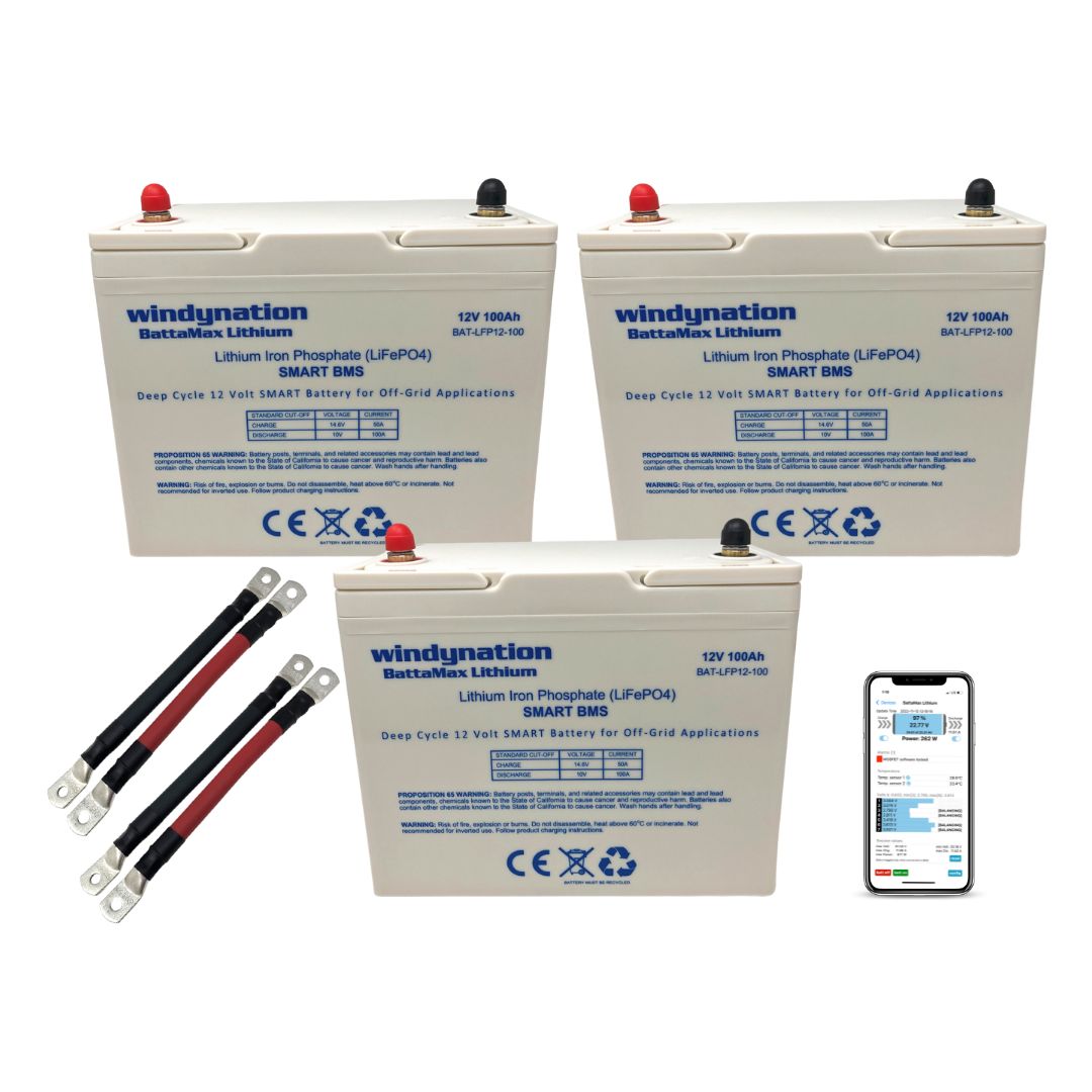 WindyNation LiFePO4 100ah 12 Volt BattaMax 4000 Cycles Battery