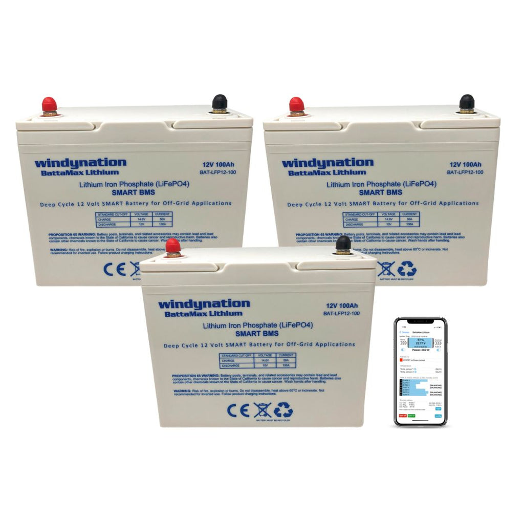 WindyNation LiFePO4 100ah 12 Volt BattaMax 4000 Cycle Battery