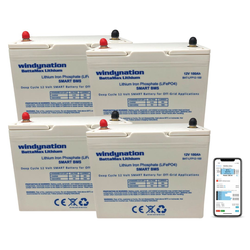 WindyNation LiFePO4 100ah 12 Volt BattaMax 4000 Cycle Battery