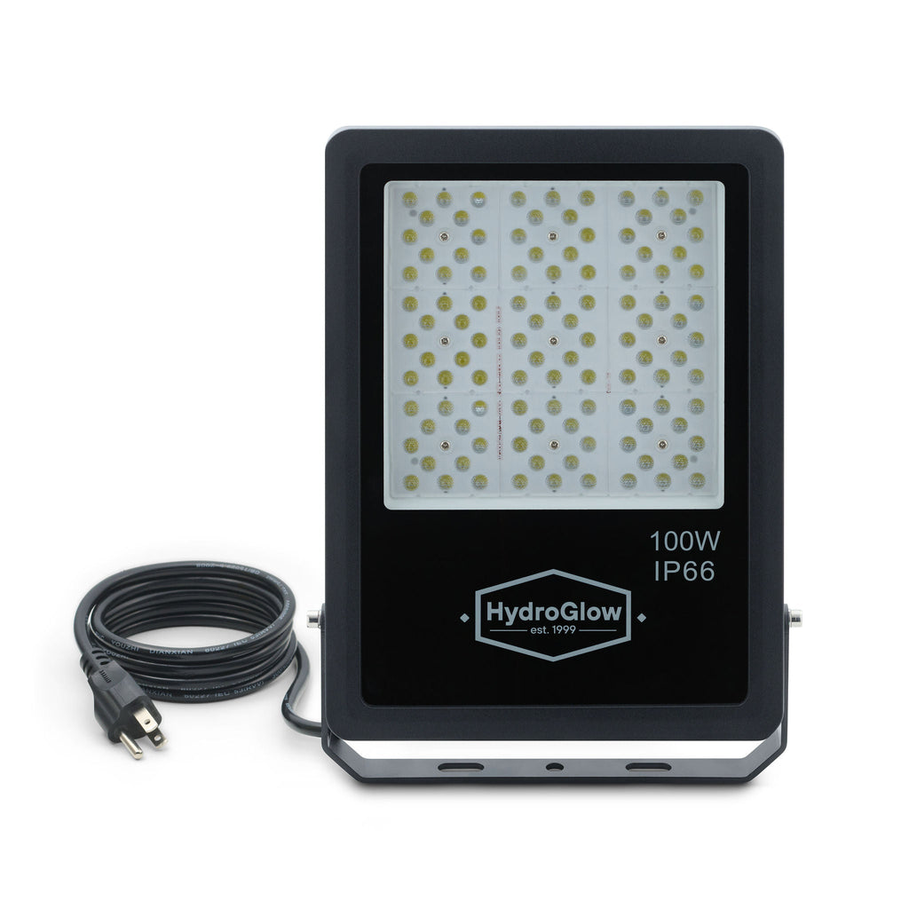 HydroGlow FL100W Above-Water LED Floodlight-White
