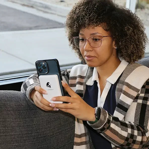 Lion Energy Power Bank Bundle