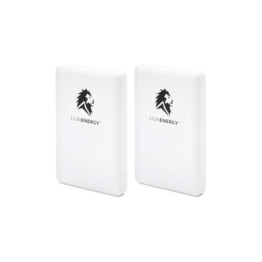 Lion Energy Lion Claw 2-Pack