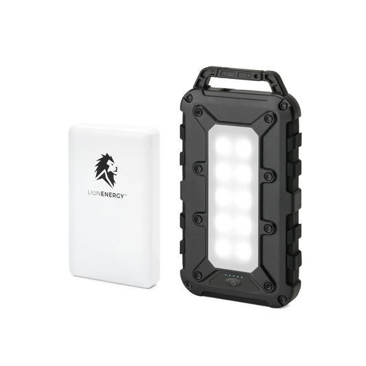 Lion Energy Power Bank Bundle