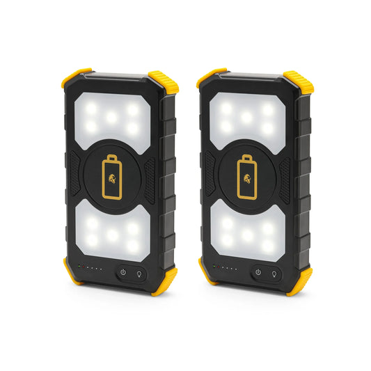 Lion Energy Lion Prowler 2-Pack