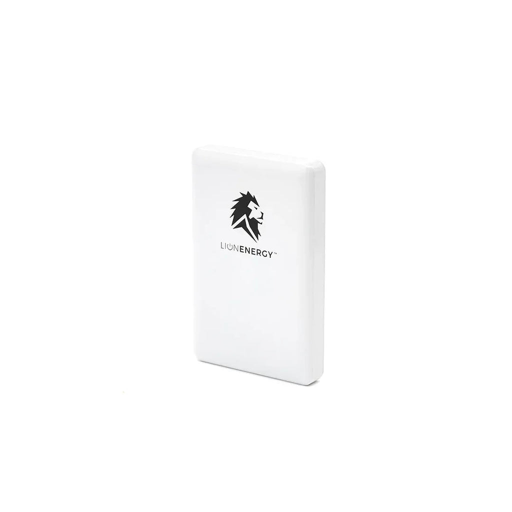 Lion Energy Power Bank Bundle