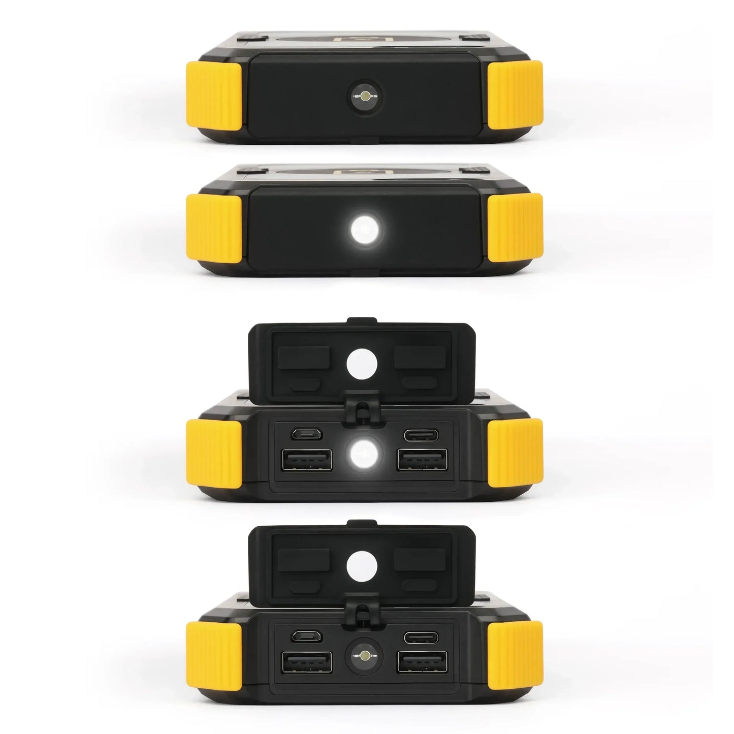 Lion Energy Lion Prowler