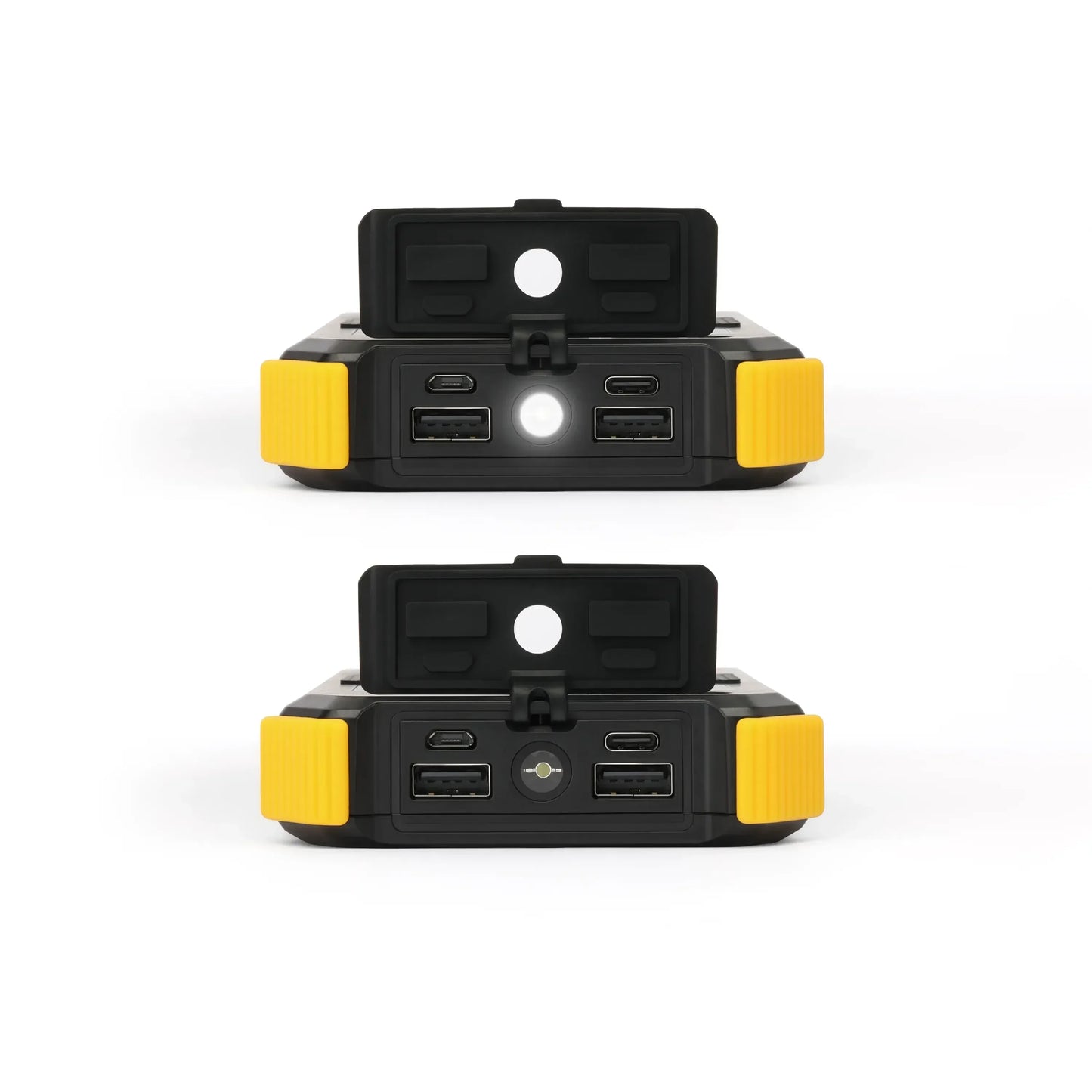 Lion Energy Lion Prowler 2-Pack