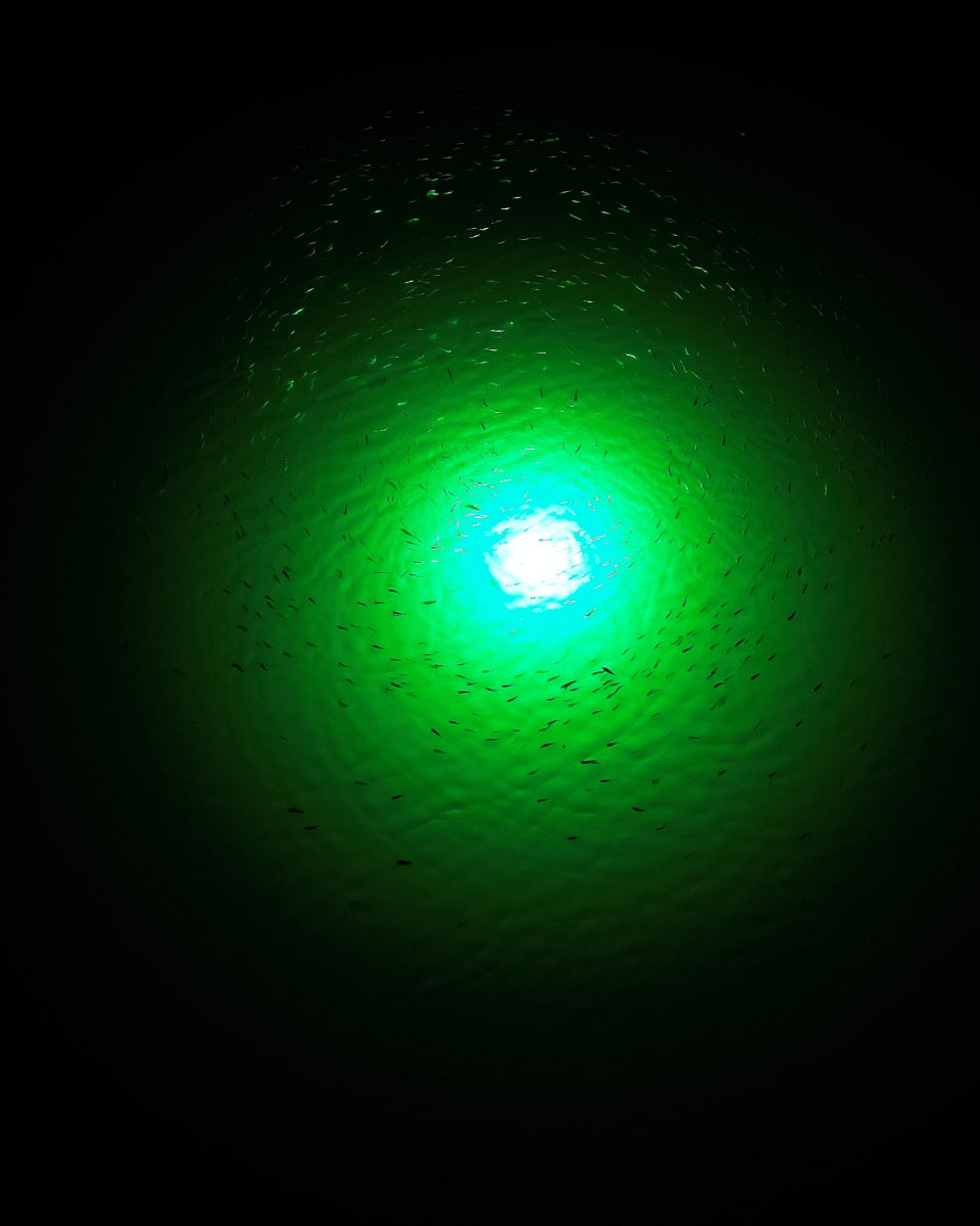 HydroGlow Sea Floor Dock Light-Green-SF200G