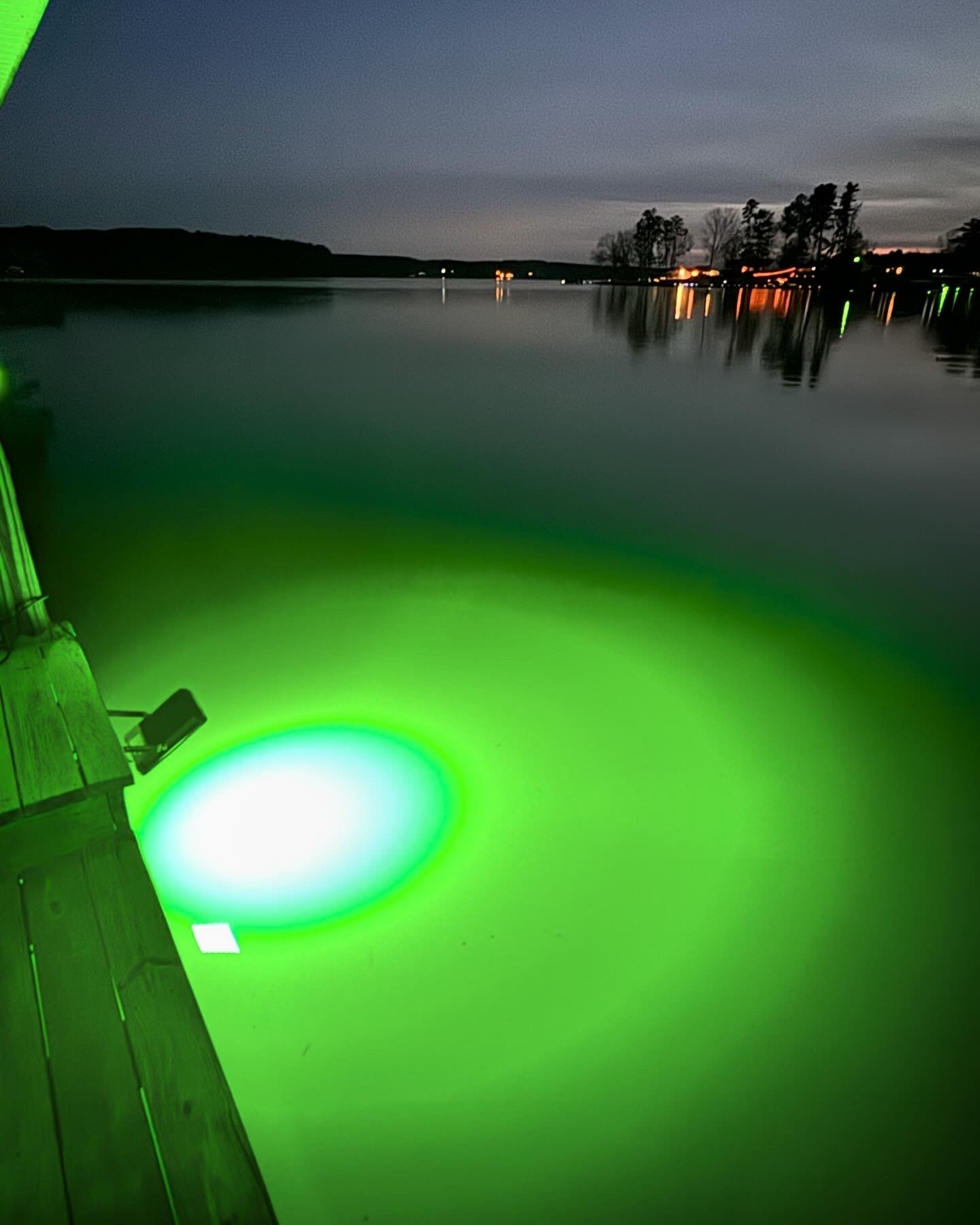 HydroGlow FL100G Above-Water LED Floodlight-Green