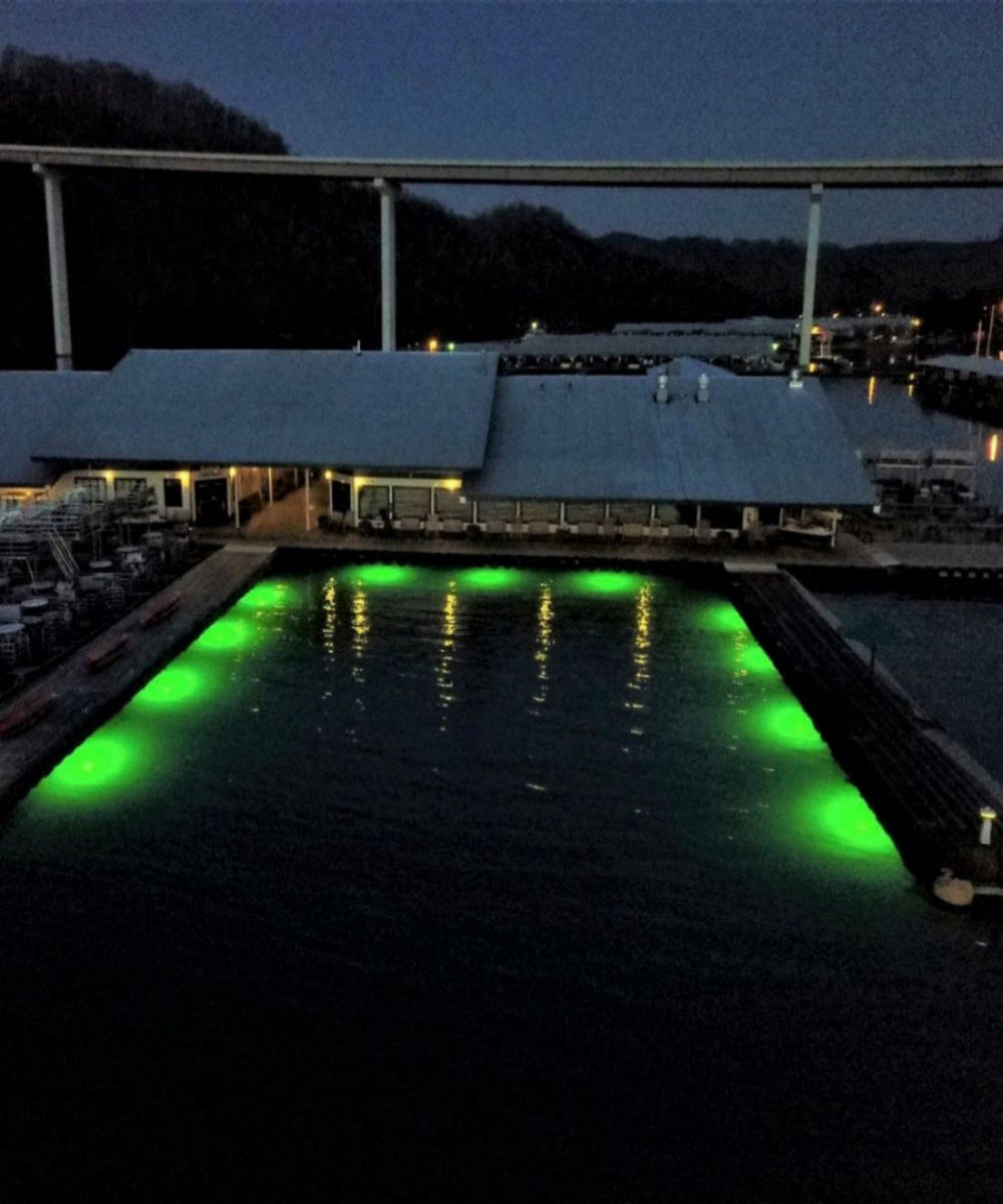HydroGlow DM260G DockMaster Above Water Dock Light-Green product image 2