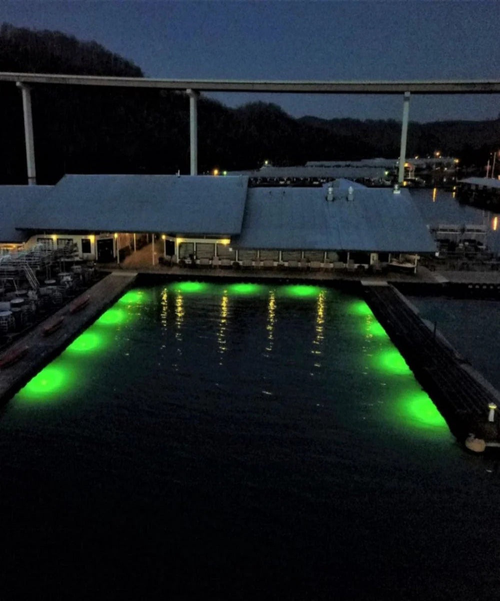 HydroGlow DM260G DockMaster Above Water Dock Light-Green product image 3