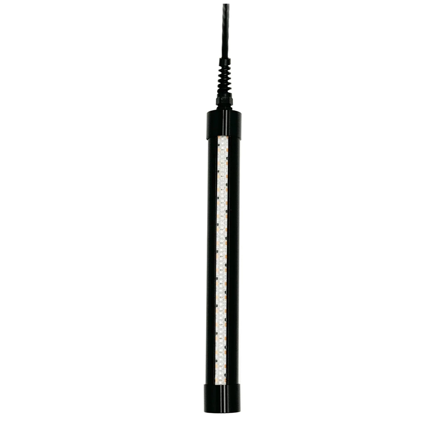 HydroGlow HG250G Underwater Fishing Light product image 4