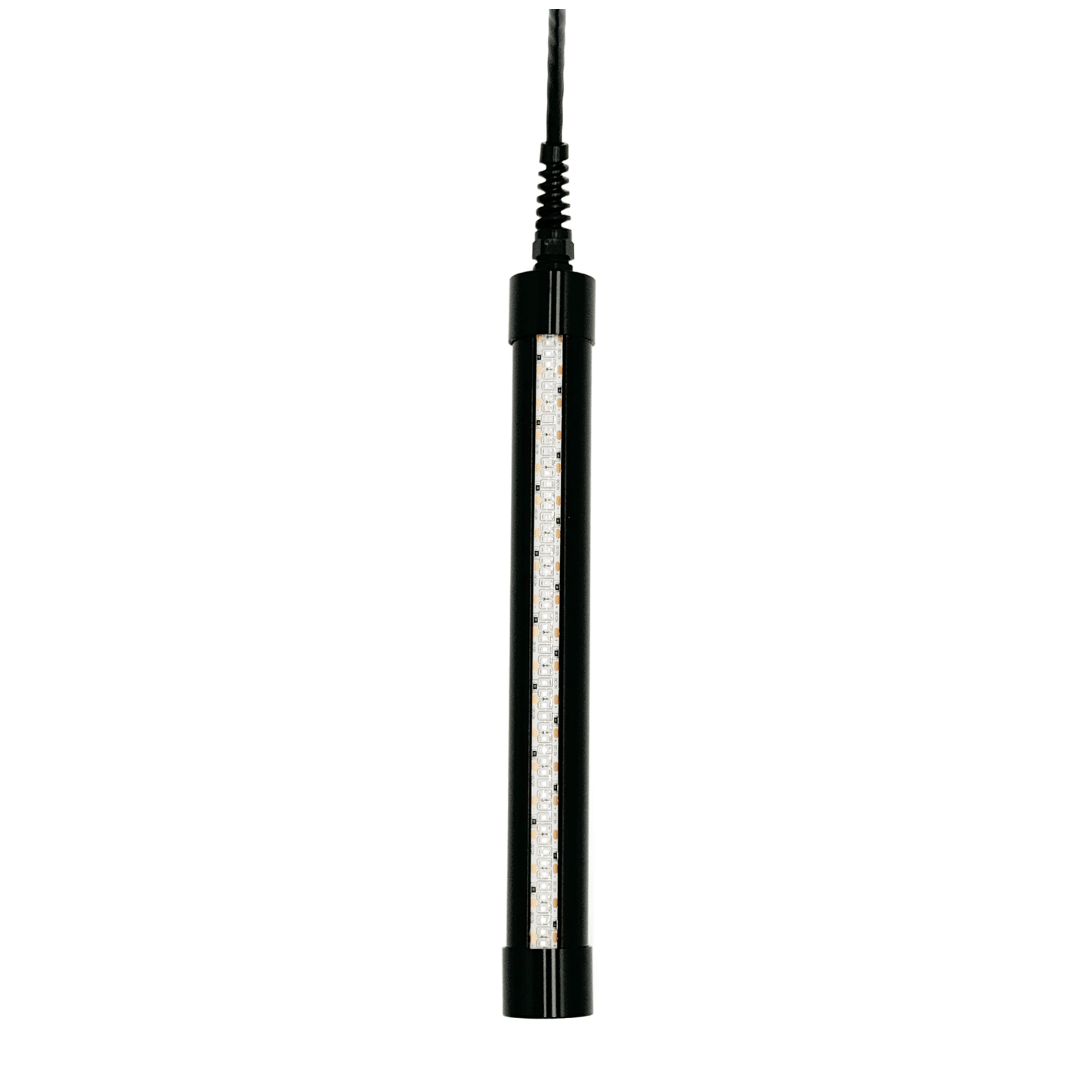 HydroGlow HG250G Underwater Fishing Light product image 4