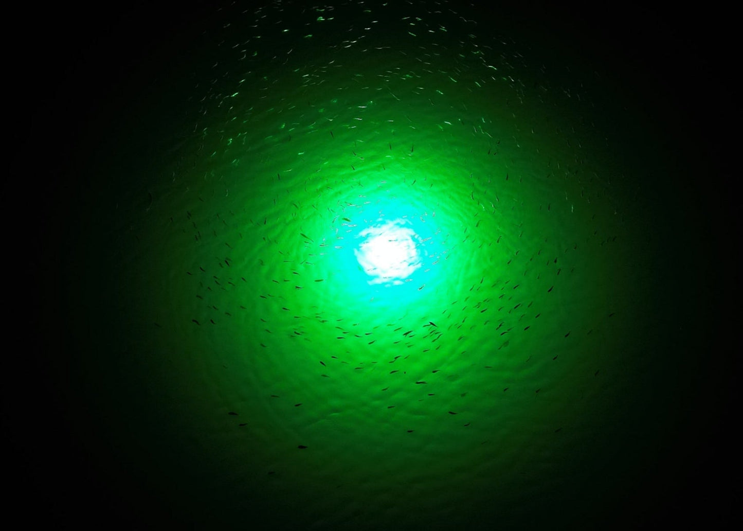 HydroGlow Sea Floor Dock Light-Green-SF100G product image 3