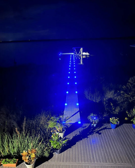 HydroGlow Solar Pathway Blue Light-S1B product image 1