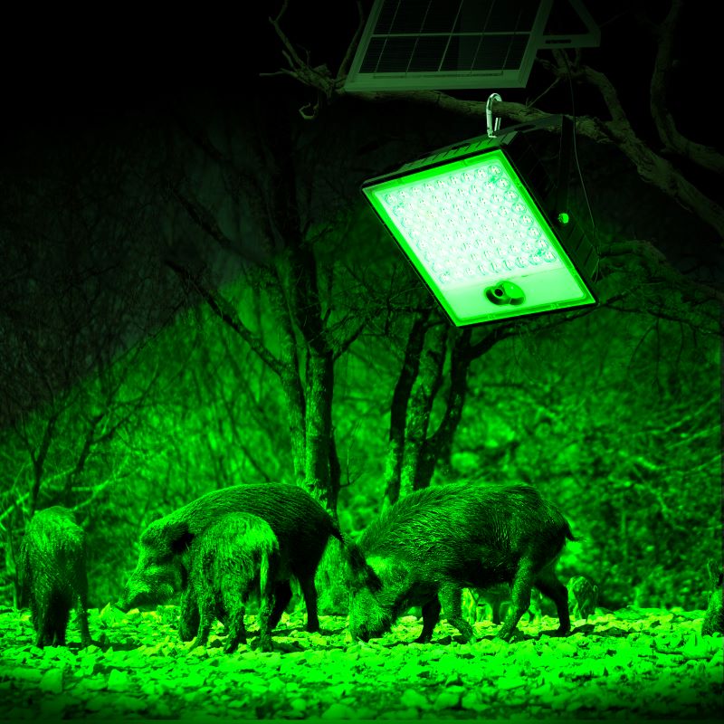 Langy Solar Green Floodlight for Night Hunting product image 1