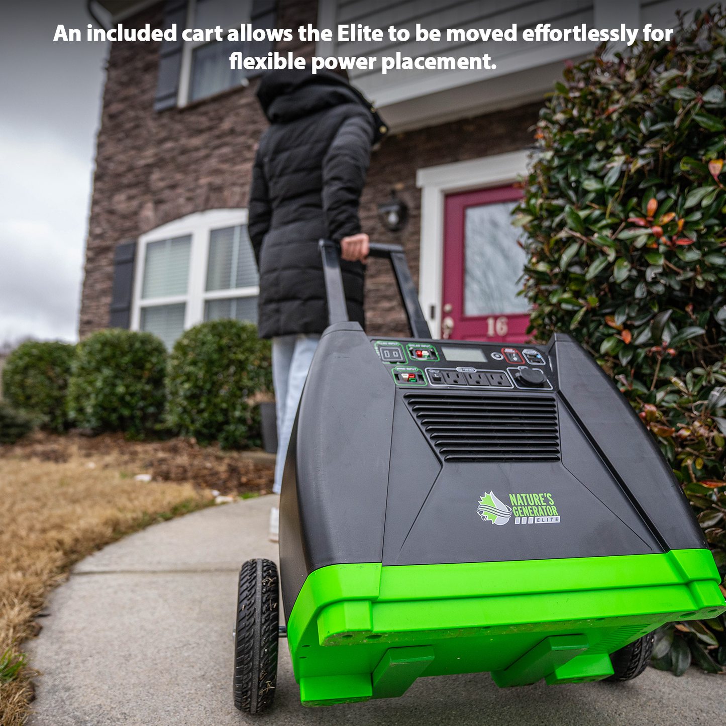 Nature's Generator Elite - Gold System product image 18